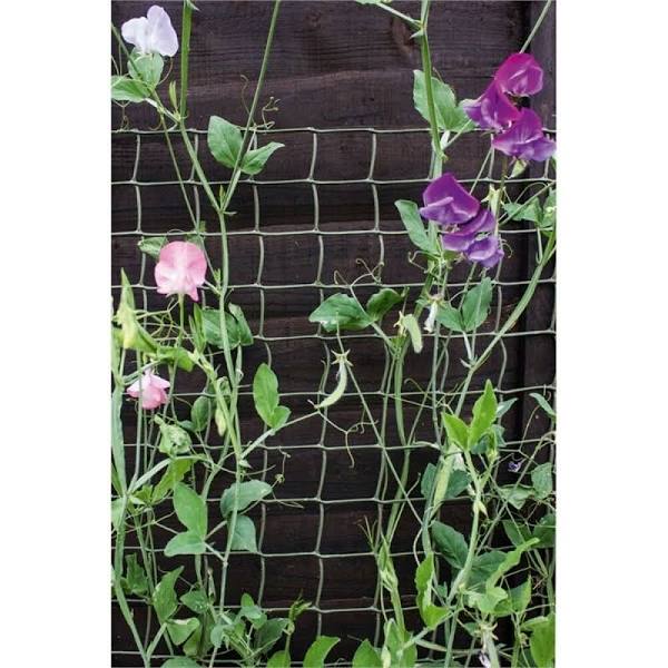 Ambassador Climbing Plant Support Green - 5 x 0.5m