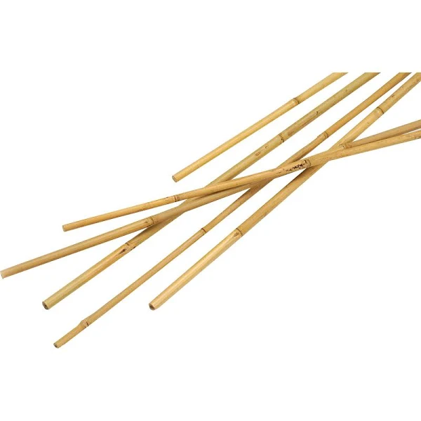 SupaGarden Bamboo Canes - 8' Pack 10