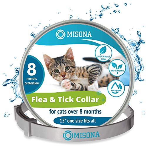 Hollings 100% Natural Wild Boar 5 Strips, 50 g